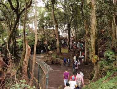 Summer Holiday To The Oxolotan River